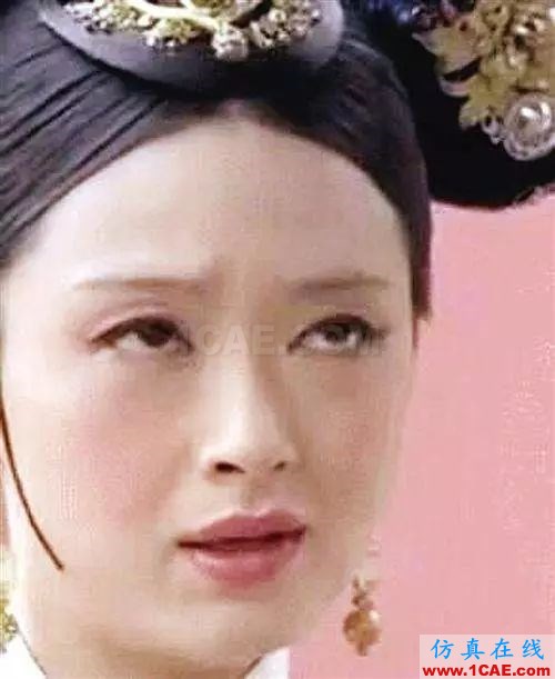關于流體力學的那些小秘密【轉發】fluent結果圖片2